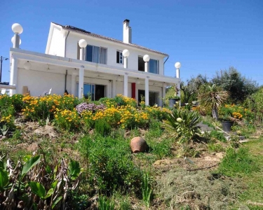 House Sitting in Pedrogao Pequeno, Portugal