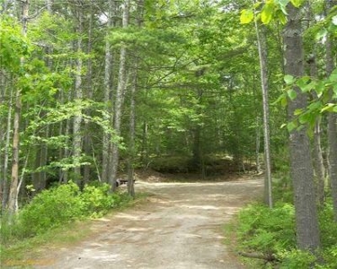 House Sitting in Georgetown, Maine