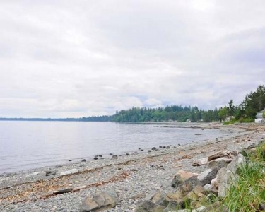 House Sitting in Campbell River, Canada