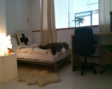 House Sitting in New York, New York