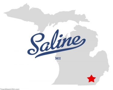 House Sitting in Saline, Michigan