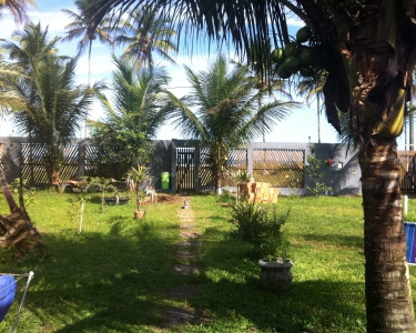 House Sitting in Ilhus, Brazil