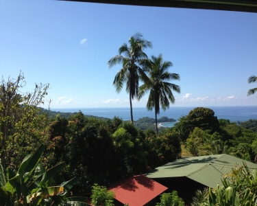 House Sitting in Dominicalito, Costa Rica