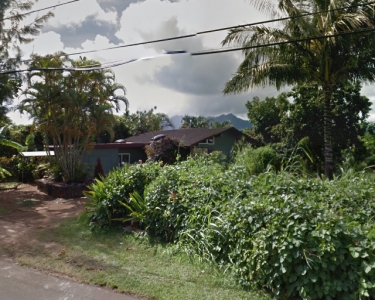 House Sitting in Kilauea, Hawaii