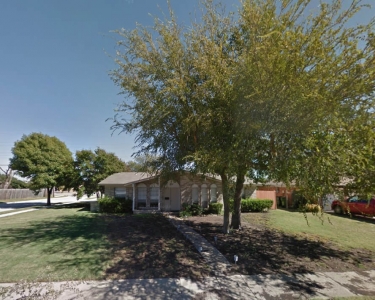 House Sitting in Plano, Texas