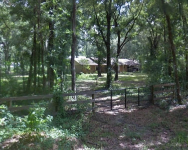 House Sitting in Ocala, Florida