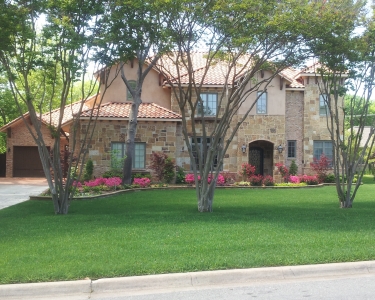 House Sitting in Dallas, Texas