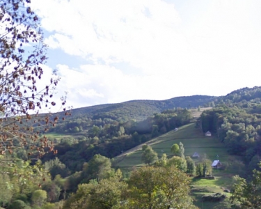 House Sitting in Moulis, France