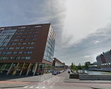 House Sitting in Rotterdam, Netherlands