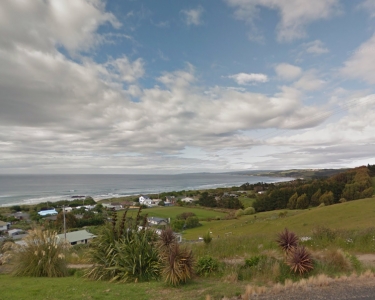 House Sitting in Dunedin Otago, New Zealand
