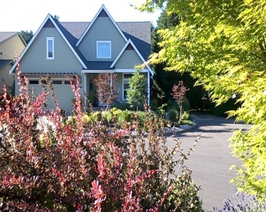 House Sitting in Olympia, Washington