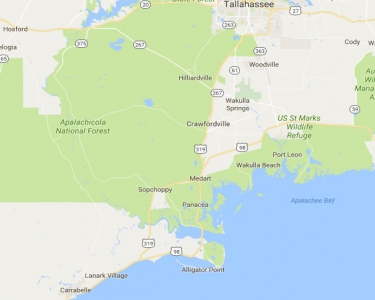 House Sitting in Crawfordville, Florida