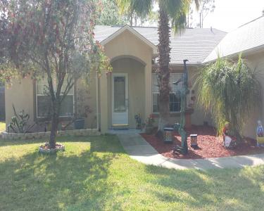 House Sitting in Edgewater, Florida