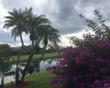 House Sitting in Palm Beach Gardens, Florida