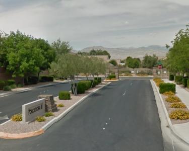 House Sitting in Las Vegas, Nevada