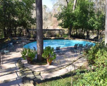 House Sitting in Houston, Texas