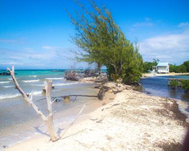 House Sitting in Stann Creek, Belize