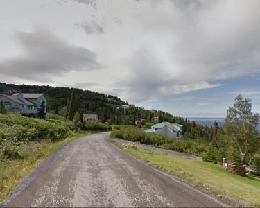 House Sitting in Anchorage, Alaska