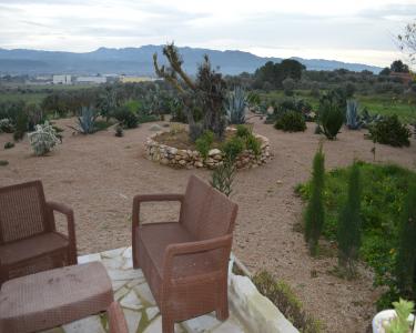 House Sitting in Mora D Ebre, Spain