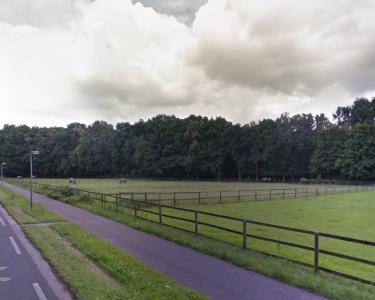 House Sitting in Laag Soeren, Netherlands