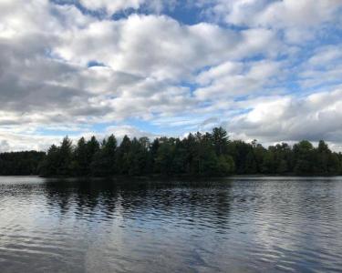 House Sitting in Rhinelander, Wisconsin