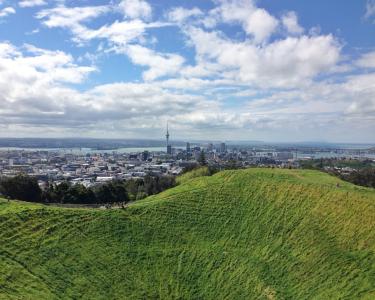 House Sitting in Flat Bush, Auckland, New Zealand