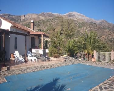 House Sitting in Malaga, Spain