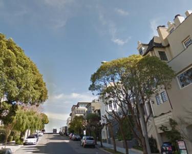 House Sitting in San Francisco, California