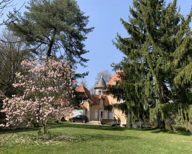 House Sitting in Dole, France