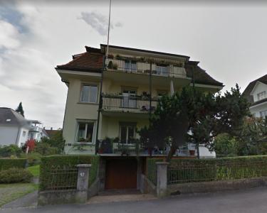 House Sitting in Zürich, Switzerland