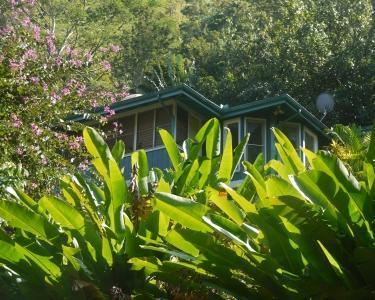 House Sitting in Hanalei, Hawaii