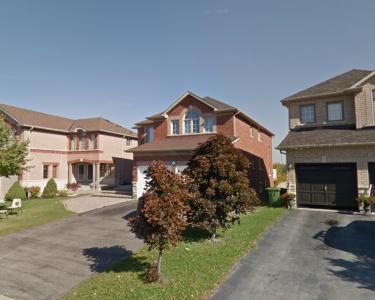 House Sitting in Bolton, Canada