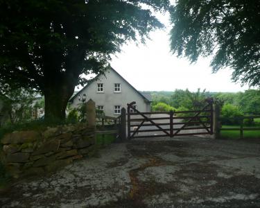 House Sitting in Co. Tipperary, Ireland
