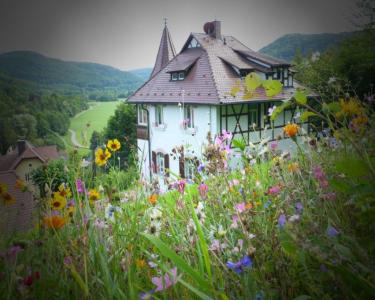 View Details of House Sitting Assignment in Pommelsbrunn, Germany