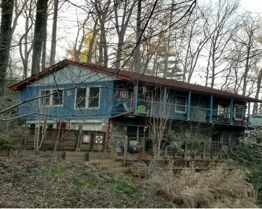 View Details of House Sitting Assignment in Asheville, North Carolina