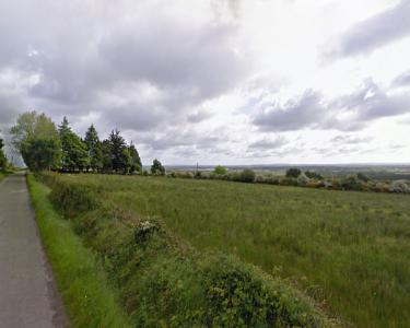 View Details of House Sitting Assignment in Co Roscommon, Ireland