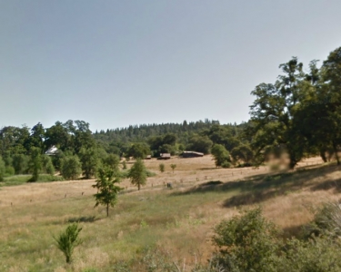House Sitting in Grass Valley, California
