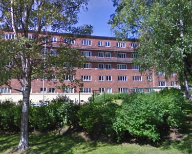 House Sitting in Oslo, Norway