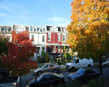 House Sitting in WASHINGTON DC, District of Columbia