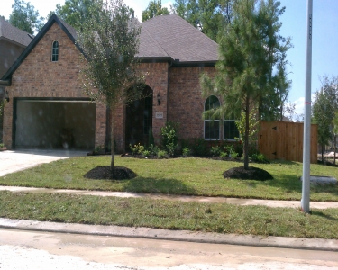 House Sitting in Humble, Texas