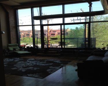 House Sitting in Chicago, Illinois