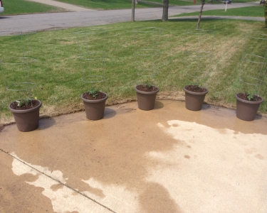 View Details of House Sitting Assignment in Bloomington, Minnesota