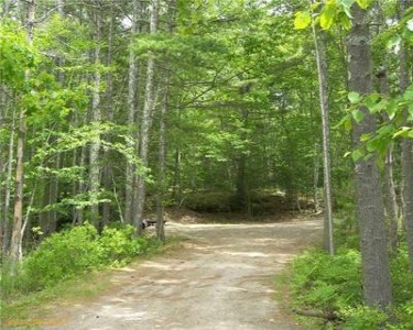 View Details of House Sitting Assignment in Georgetown, Maine