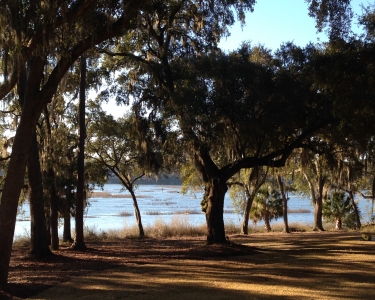 View Details of House Sitting Assignment in Bluffton, South Carolina