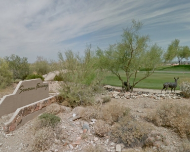 View Details of House Sitting Assignment in Scottsdale, Arizona