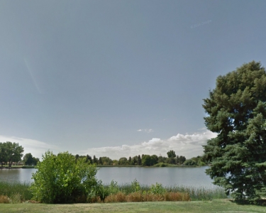 View Details of House Sitting Assignment in Denver, Colorado