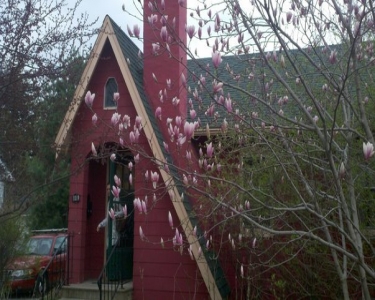 House Sitting in Iowa City, Iowa