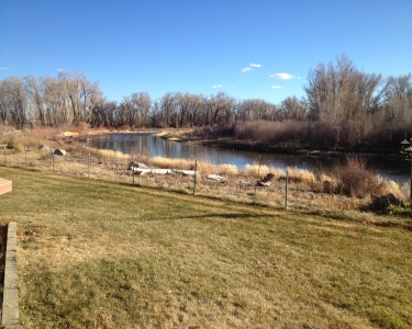 View Details of House Sitting Assignment in Monte Vista, Colorado