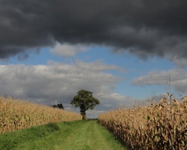 View Details of House Sitting Assignment in Saint Georges De Reneins, France