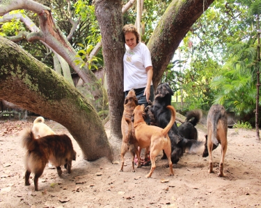House Sitting in Bahia, Brazil